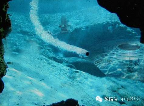 南极疑似发现UFO基地 揭秘南极未解之谜