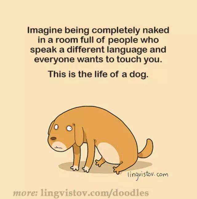 在一个全是人类的屋子里，