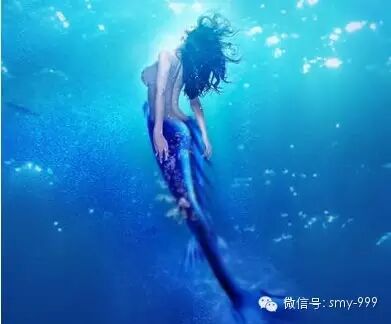 周星驰《美人鱼》里推荐的上海极地海洋公园有多嗲,迪斯...