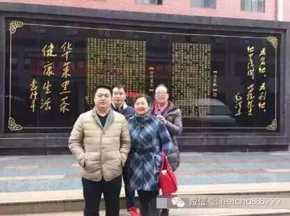 为什么很多内行直销精英要选择做黑茶？27号去安化求证吧