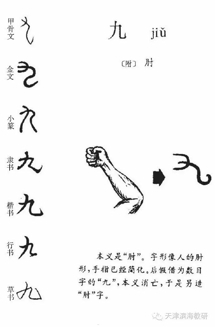 汉语天地丨甲骨文中数字1-10的写法