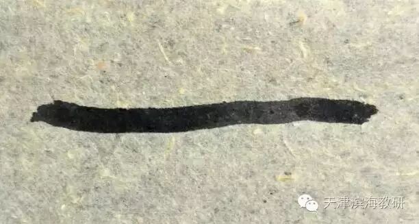 汉语天地丨甲骨文中数字1-10的写法