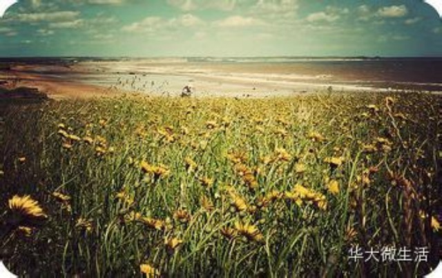 Pixie Lott - Caravan Of Love