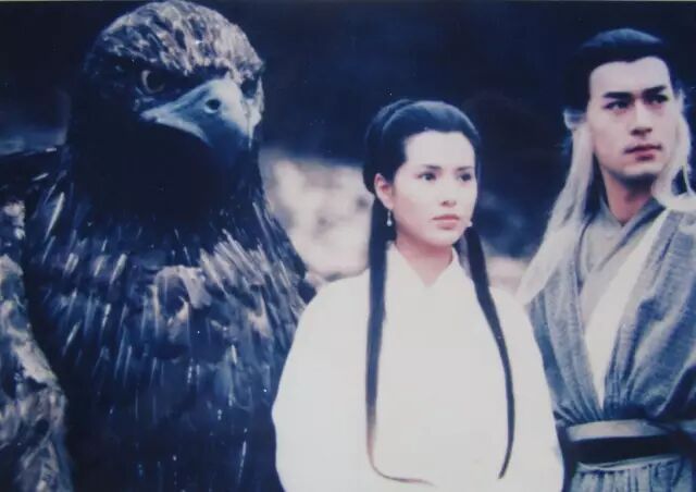 网易蝎子怎么引（杨过和黄蓉那么美，我却耿耿于怀这个难过的张无忌）蔬果满满的，