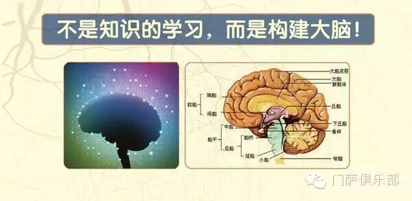 全脑开发并非制造神童，政府学校引进全脑课程！
