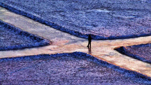 9幅图，9句话，总有一句让你豁然开朗 - 雨中林木 - w15803568967的博客