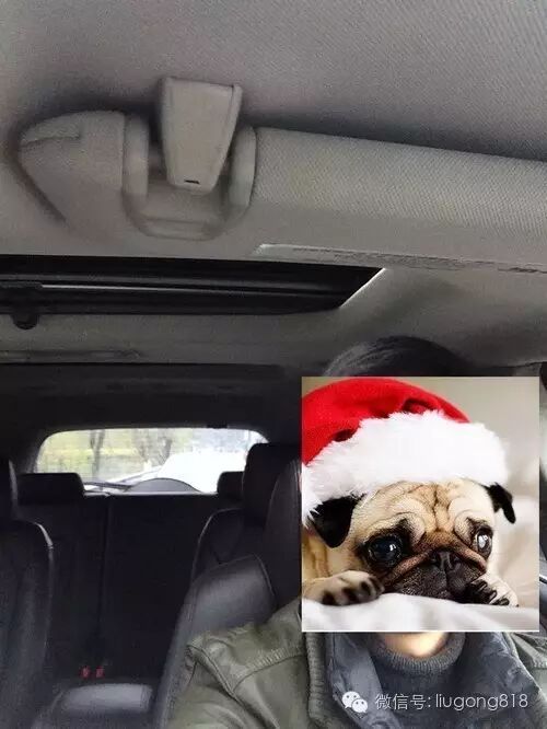 回归!迟来的作业&二胎必备的7座SUV~昂克雷!-怀孕期