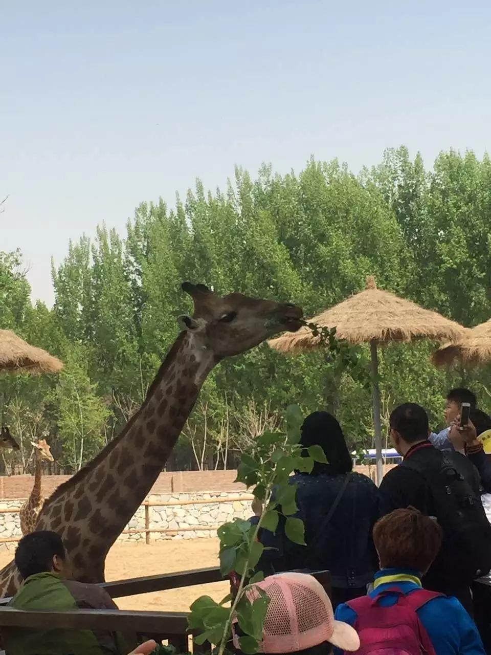 快乐再出发第三季免费完整版观看_太平洋大劫杀完整版免费观看_根西电影未删完整版免费观看