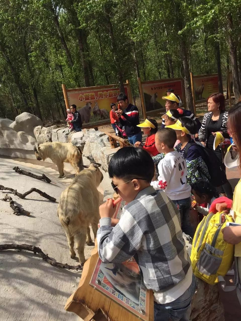 快乐再出发第三季免费完整版观看_根西电影未删完整版免费观看_太平洋大劫杀完整版免费观看