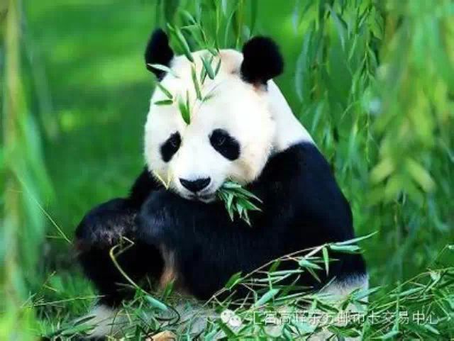 ͼƬ´ڴ򿪲鿴