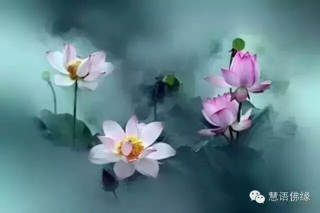 赵朴初:比风水厉害100倍的宇宙定律 赵朴初:比风水厉害100倍的宇宙定律