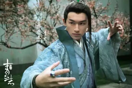 陈晓演的神雕侠侣演员表_陈晓版神雕侠侣百度百科_神雕侠侣陈晓版演员表