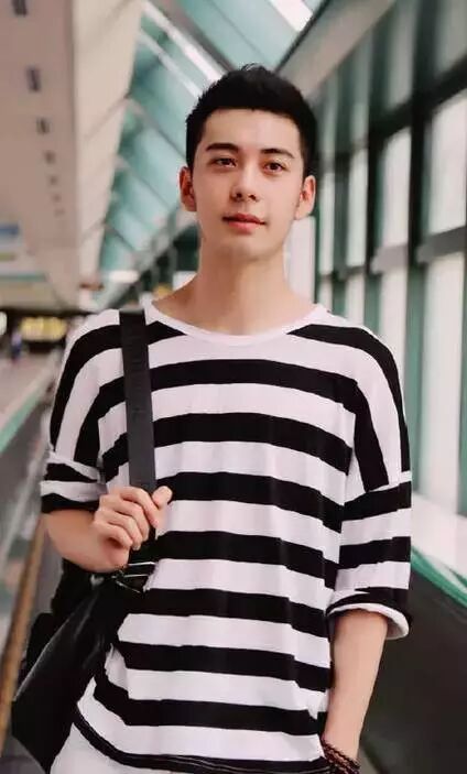 陈晓演的神雕侠侣演员表_陈晓版神雕侠侣百度百科_神雕侠侣陈晓版演员表