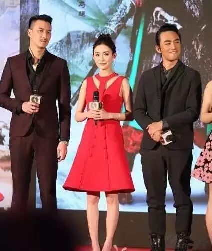 陈晓版神雕侠侣百度百科_陈晓演的神雕侠侣演员表_神雕侠侣陈晓版演员表