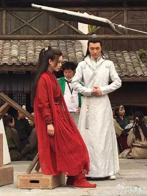 陈晓演的神雕侠侣演员表_陈晓版神雕侠侣百度百科_神雕侠侣陈晓版演员表