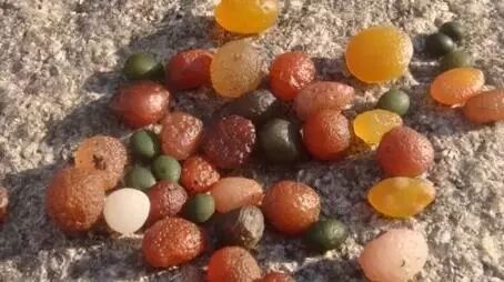 【新疆地产网】新疆各种石头种类和捡石头地点汇总