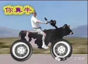 神了,林子祥《数字人生》绝对经典........