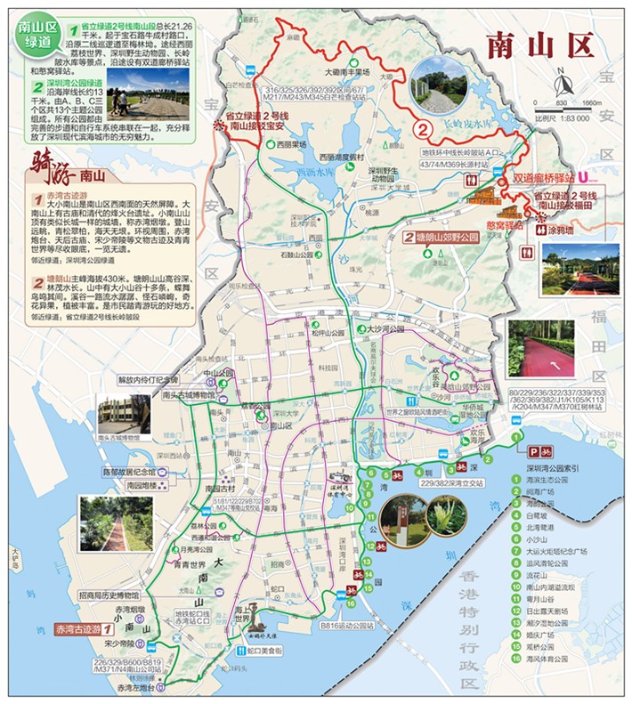 深圳6条慢跑路线推荐 邂逅春日之美