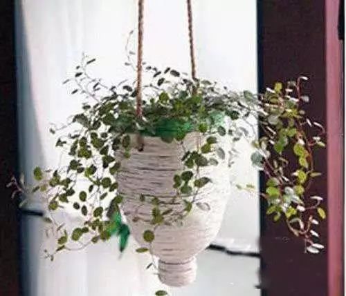 做花盆如此简单,太美,太厉害了!