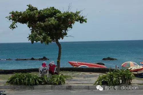 【台灣星級酒店選文】南台灣住宿詳細推薦 旅遊 第13張