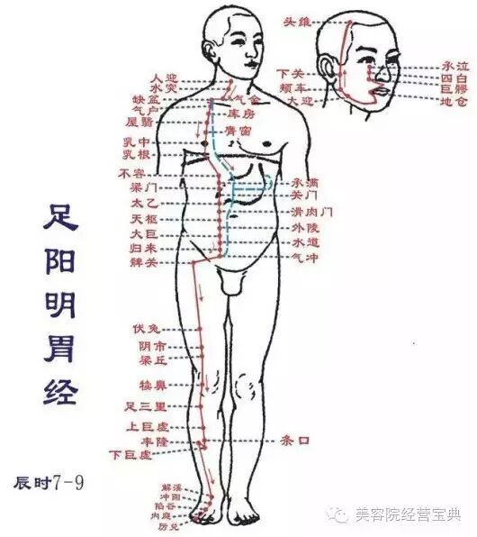 经络学自学快速入门（经络初解）
