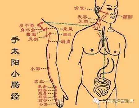 经络学自学快速入门（经络初解）