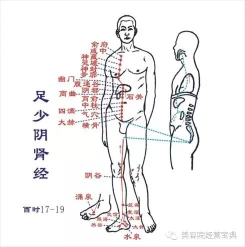 经络学自学快速入门（经络初解）