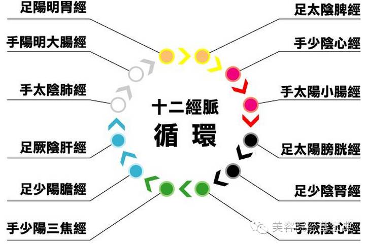 经络学自学快速入门（经络初解）