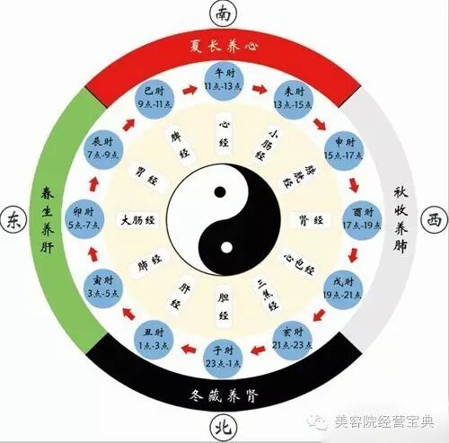 经络学自学快速入门（经络初解）