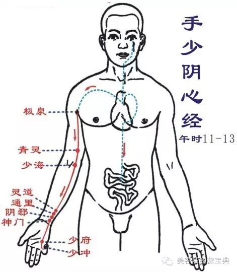 经络学自学快速入门（经络初解）
