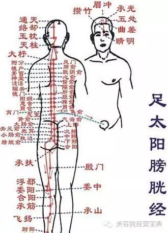 经络学自学快速入门（经络初解）