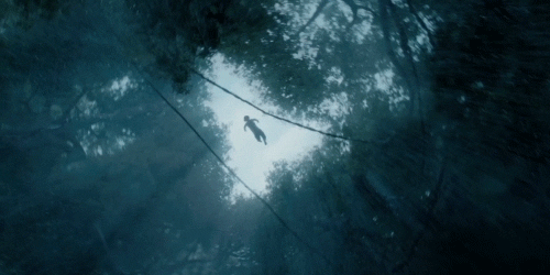 5元特惠《泰山归来:险战丛林》零点首映!浴血丛林为爱而战