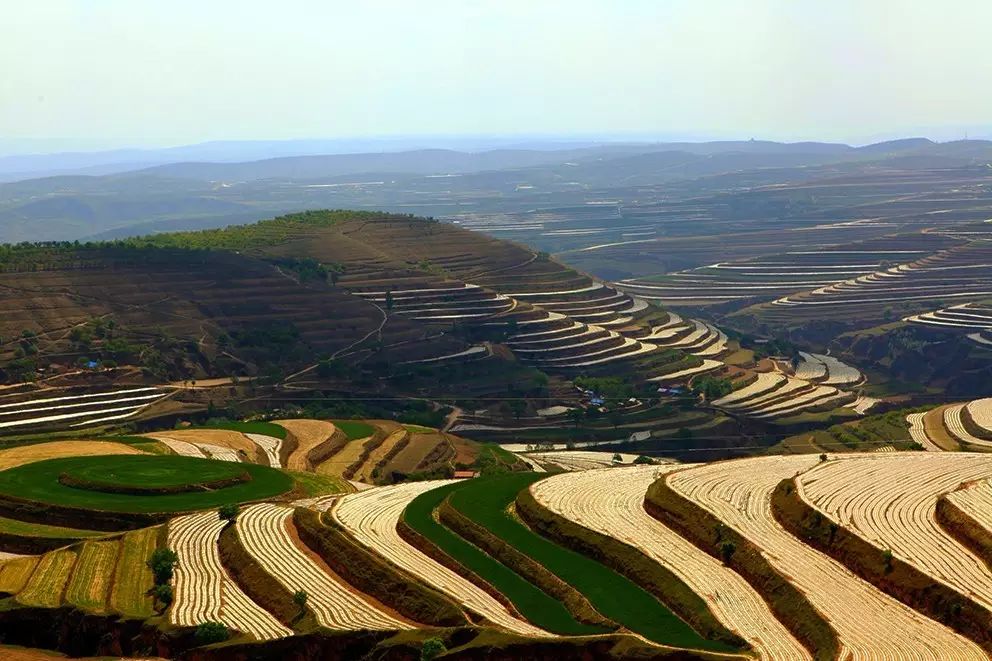 黄土丘陵上的精准扶贫——宁夏西海固地区西吉县,彭阳县,泾源县掠影