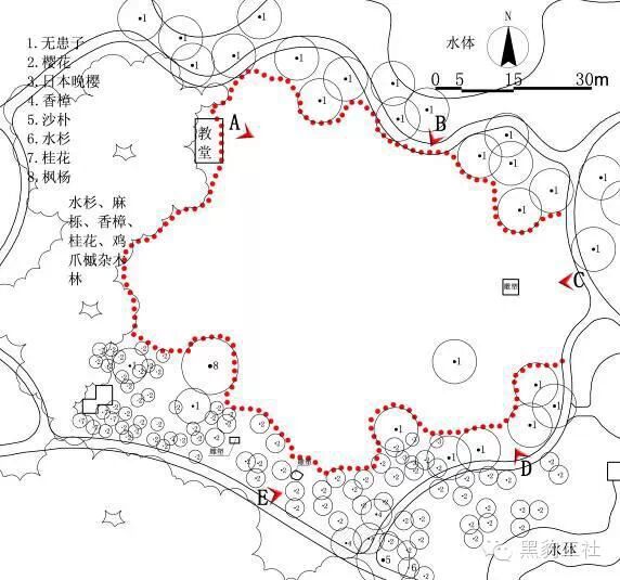 【植物景观理论】经典案例分析——杭州太子湾逍遥坡草坪