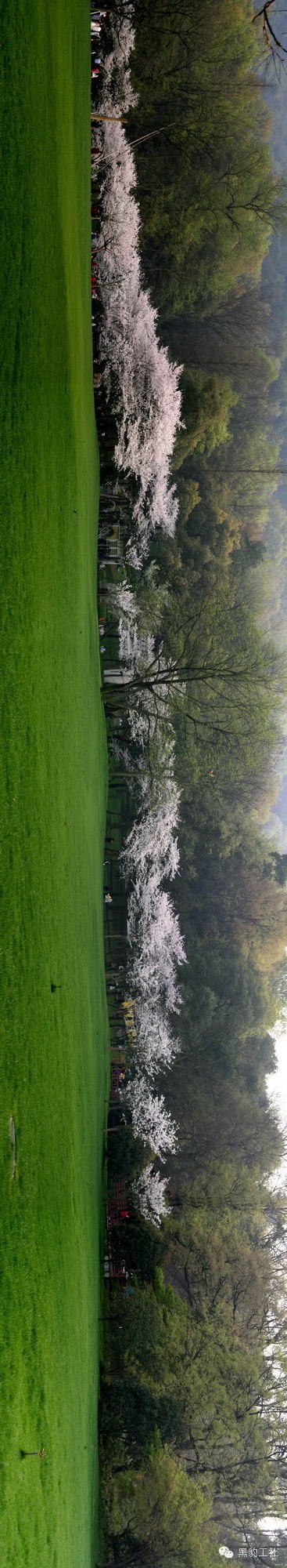 【植物景观理论】经典案例分析——杭州太子湾逍遥坡草坪