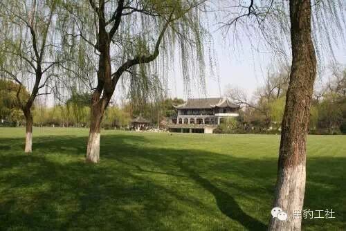 【植物景观理论】经典案例分析——柳浪闻莺闻莺馆前大草坪