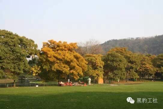 【植物景观理论】经典案例分析——杭州太子湾逍遥坡草坪