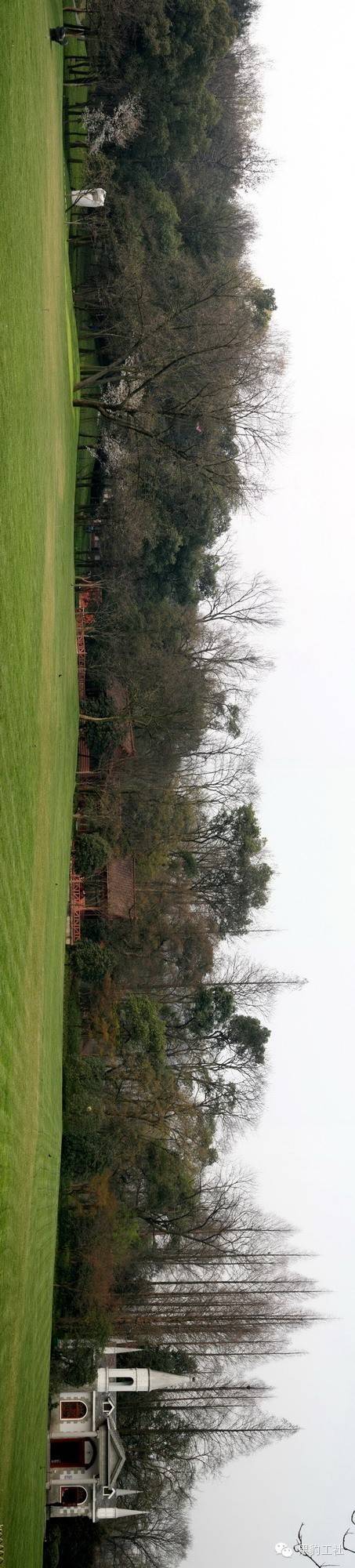 【植物景观理论】经典案例分析——杭州太子湾逍遥坡草坪 【植物景观理论】经典案例分析——杭州太子湾逍遥坡草坪