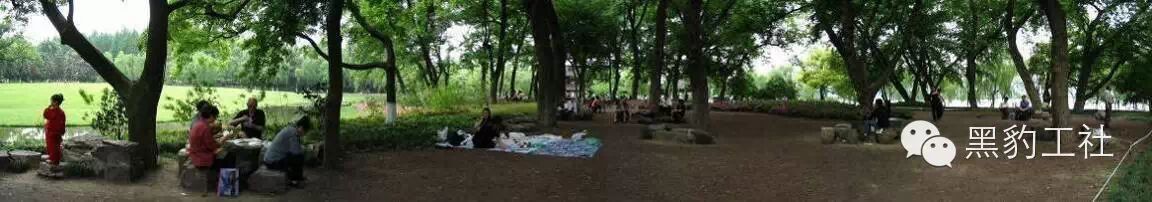 【植物景观理论】经典案例分析——柳浪闻莺闻莺馆前大草坪