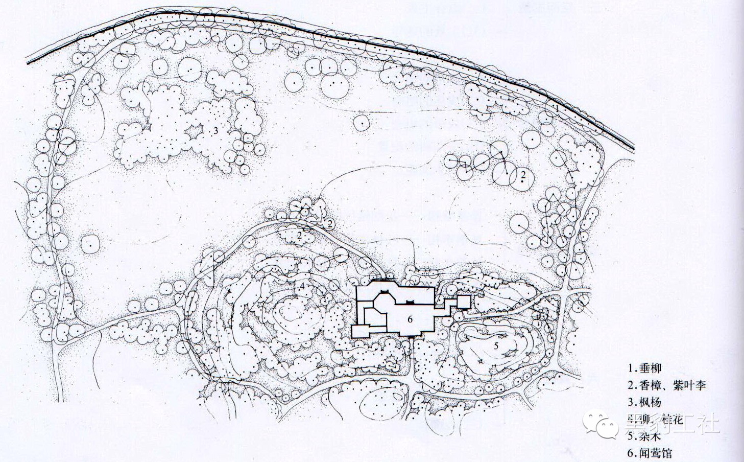 【植物景观理论】经典案例分析——柳浪闻莺闻莺馆前大草坪