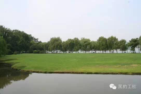 【植物景观理论】经典案例分析——柳浪闻莺闻莺馆前大草坪