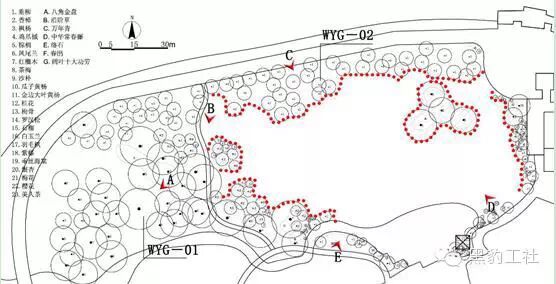 【植物景观理论】经典案例分析——柳浪闻莺闻莺馆前大草坪