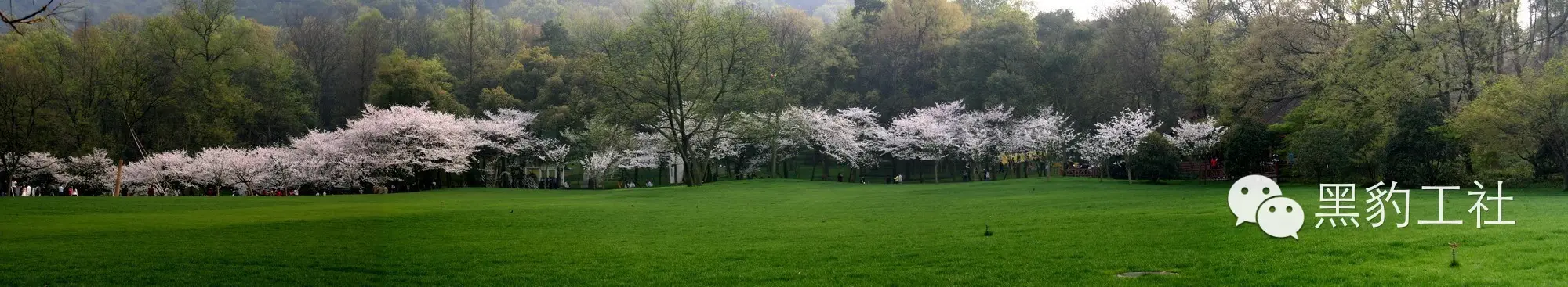 【植物景观理论】经典案例分析——杭州太子湾逍遥坡草坪 【植物景观理论】经典案例分析——杭州太子湾逍遥坡草坪