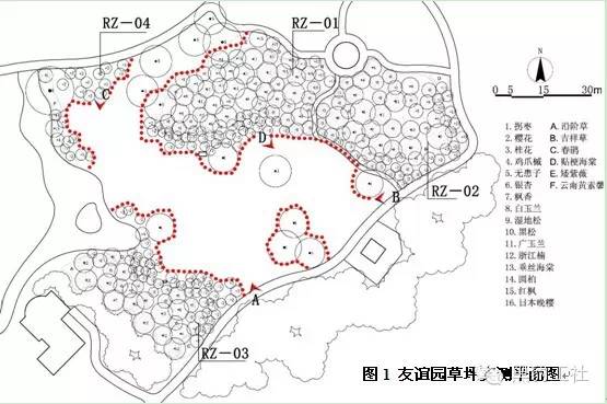 植物景观理论经典案例分析柳浪闻莺友谊园樱花草坪