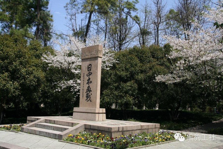 【植物景观理论】经典案例分析——柳浪闻莺友谊园樱花草坪