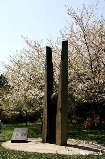 【植物景观理论】经典案例分析——柳浪闻莺友谊园樱花草坪