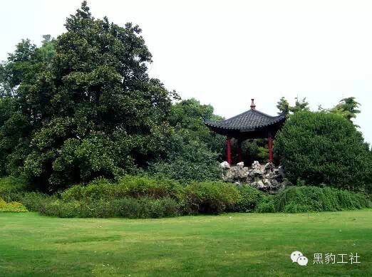 【植物景观理论】经典案例分析——花港观鱼藏山阁草坪