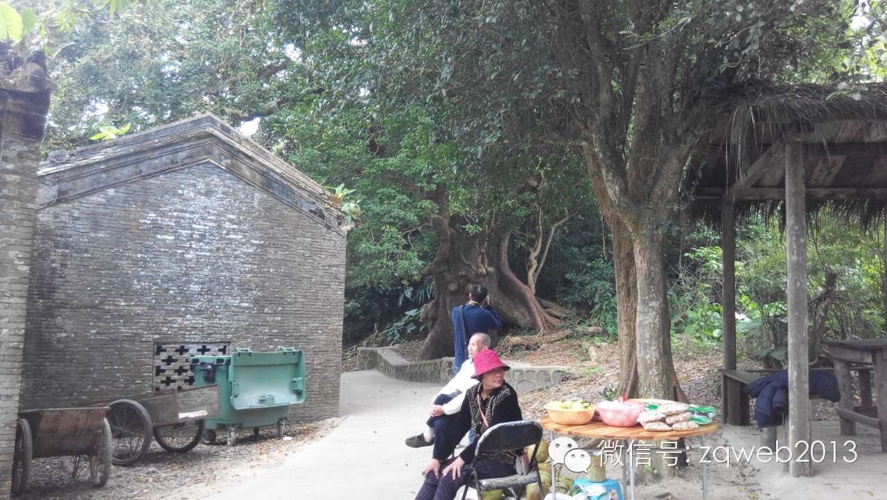 海南的特色民居，大不一样啊！