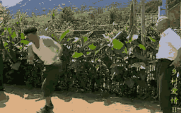 欢乐小品喜剧汇九江站重磅开票!东北f4半壁江山国庆前夜笑翻八里湖!