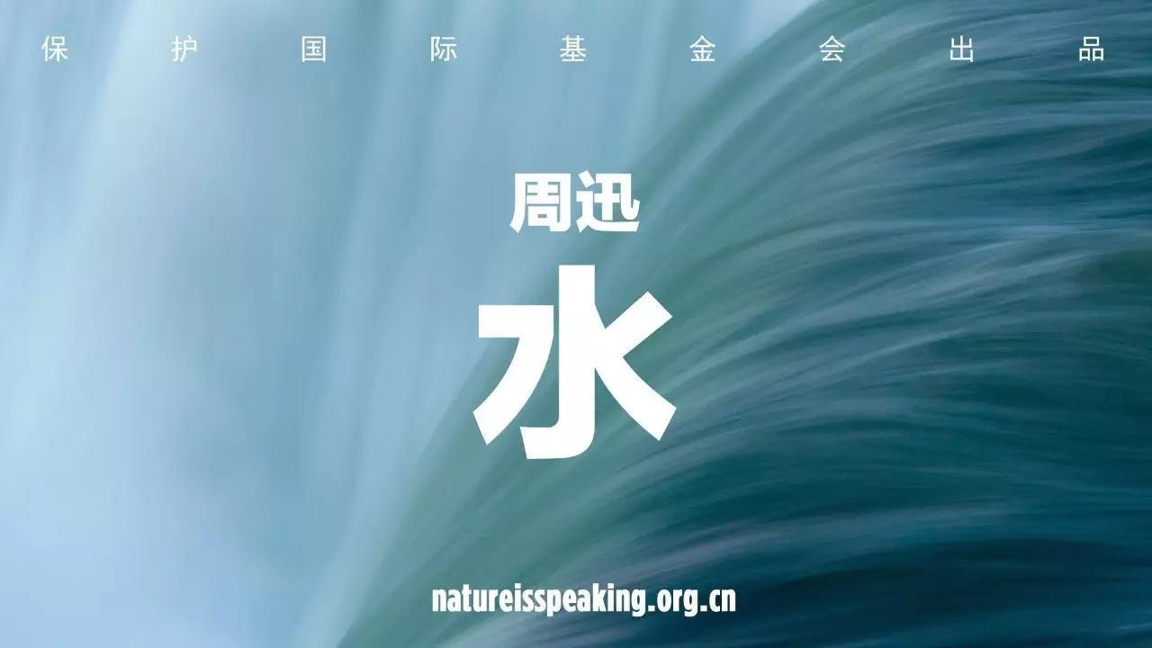 【大自然在说话系列】周迅-水